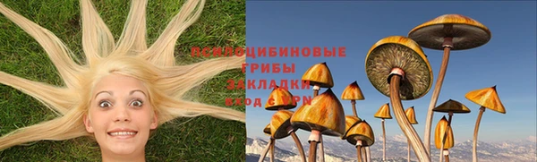 PSILOCYBIN Нягань